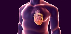 Decision Points in Heart Failure: Let’s Meet Our Next Patient